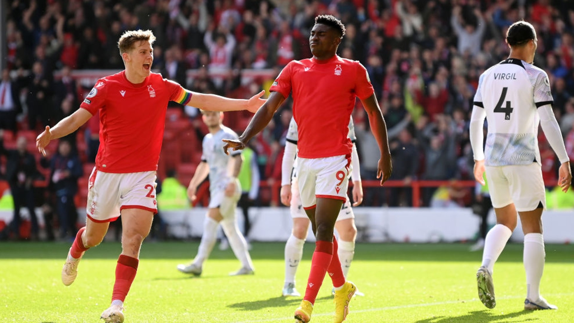 不仅贡献了 不仅贡献了